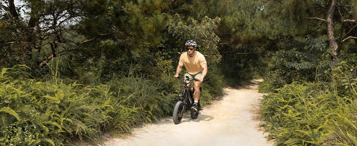 VDL Mountain Electric Bike , 16" Fat Tire Ebike, Wider Seat 800W Peak Motor, Removable Battery, Front Fork Suspension