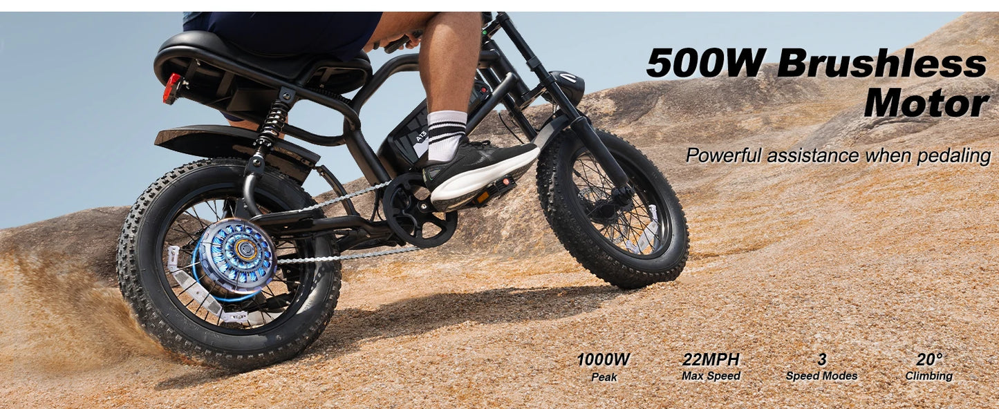 VDL Mountain Electric Bike , 16" Fat Tire Ebike, Wider Seat 800W Peak Motor, Removable Battery, Front Fork Suspension