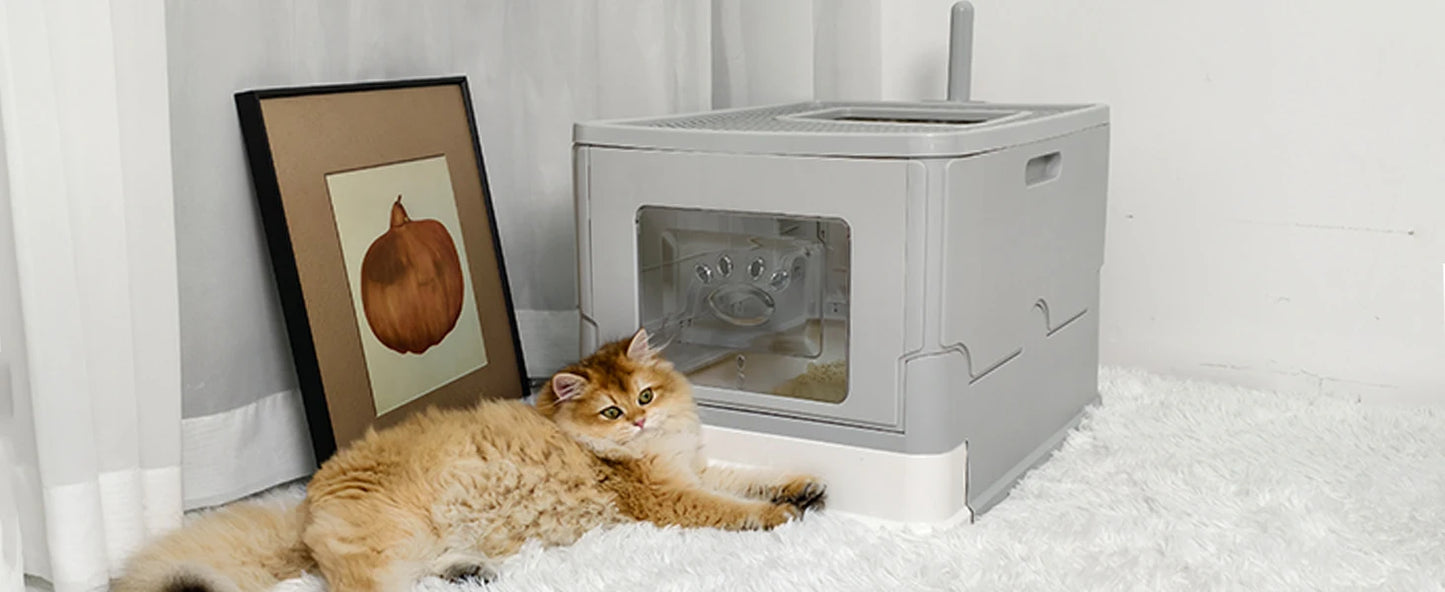 4-Style Cat Litter Box with Lid Large Kitty Litter Box Enclosed with High Sided Enclosure Scoop Non-Sticky