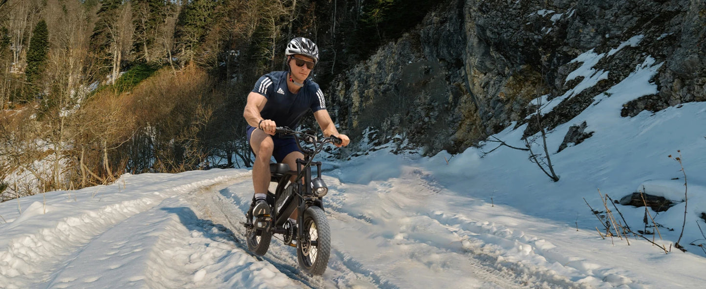 VDL Mountain Electric Bike , 16" Fat Tire Ebike, Wider Seat 800W Peak Motor, Removable Battery, Front Fork Suspension